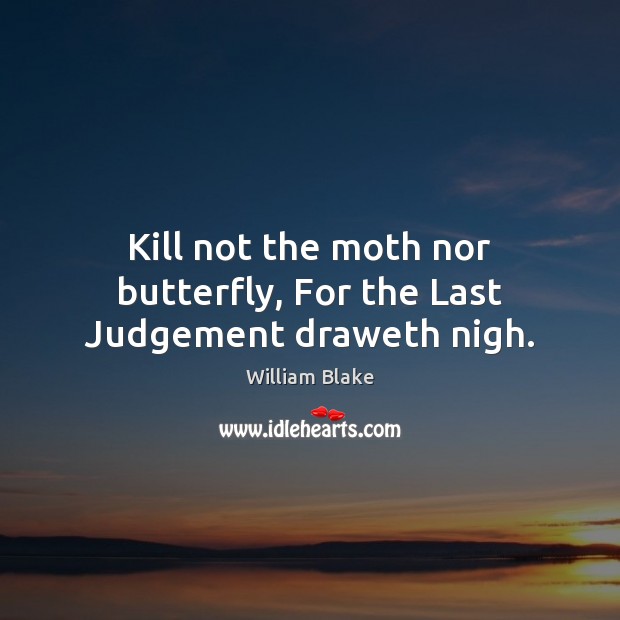 Kill not the moth nor butterfly, For the Last Judgement draweth nigh. William Blake Picture Quote
