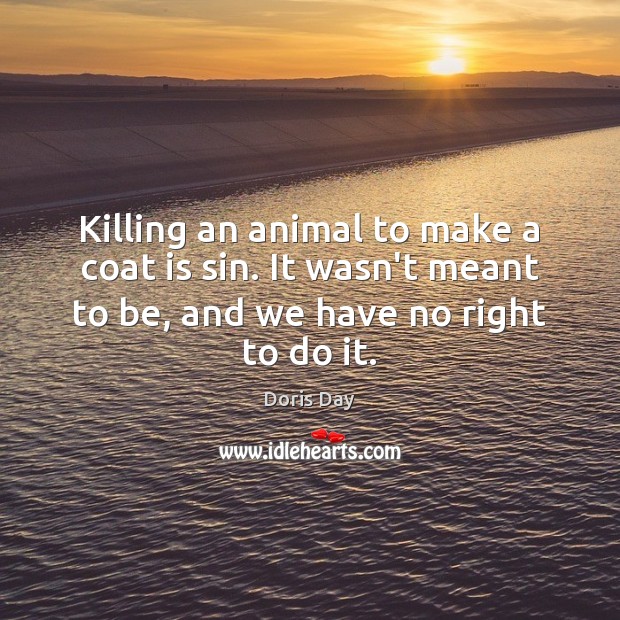 Killing an animal to make a coat is sin. It wasn’t meant Doris Day Picture Quote