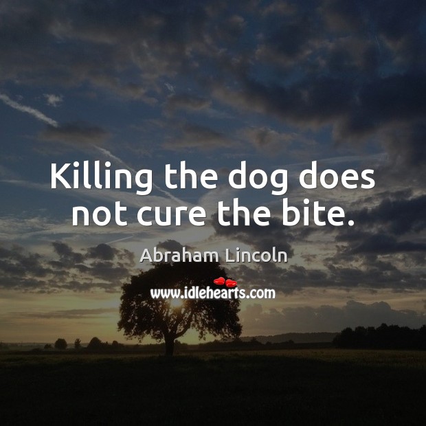 Killing the dog does not cure the bite. Image