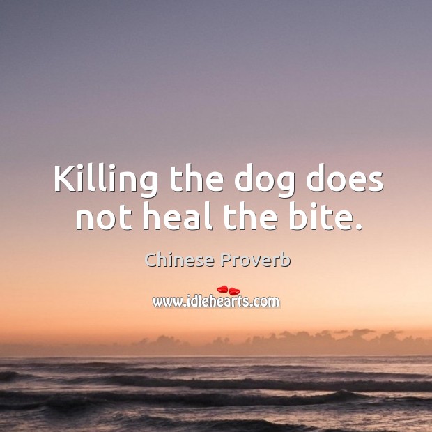 Killing the dog does not heal the bite. Image