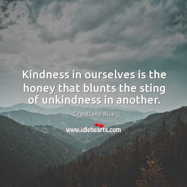 Kindness in ourselves is the honey that blunts the sting of unkindness in another. Grantland Rice Picture Quote