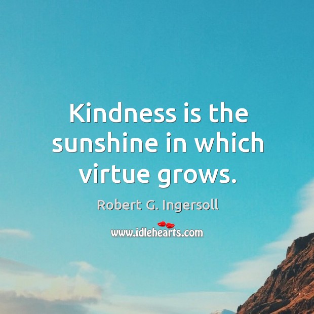 Kindness is the sunshine in which virtue grows. Robert G. Ingersoll Picture Quote