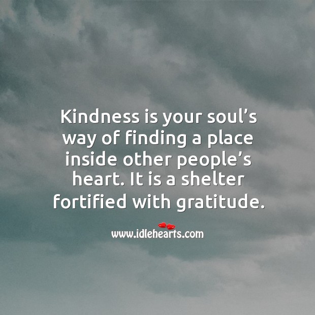 Kindness is your soul’s way of finding a place inside other people’s heart. It is a shelter fortified with gratitude. Image