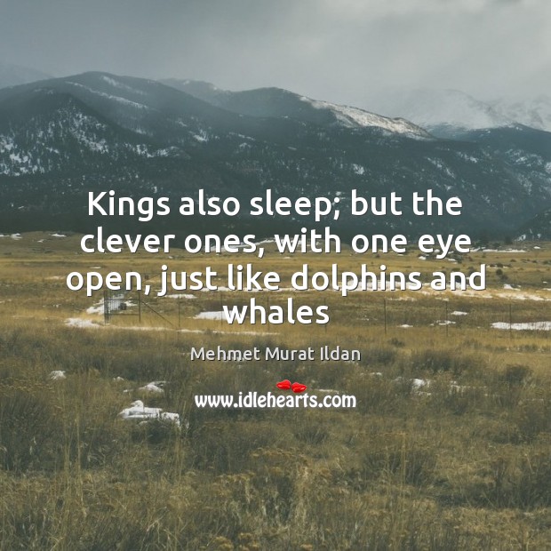 Kings also sleep; but the clever ones, with one eye open, just like dolphins and whales Mehmet Murat Ildan Picture Quote