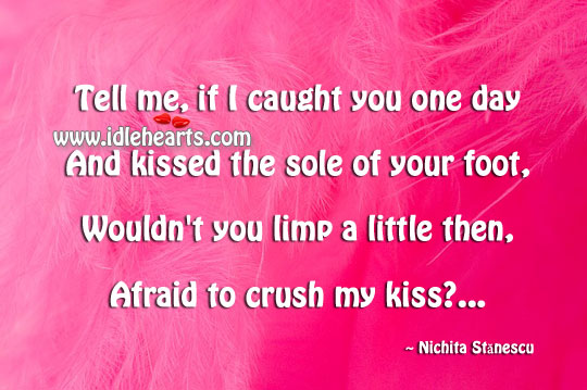 Tell me, if I caught you one day Nichita Stănescu Picture Quote