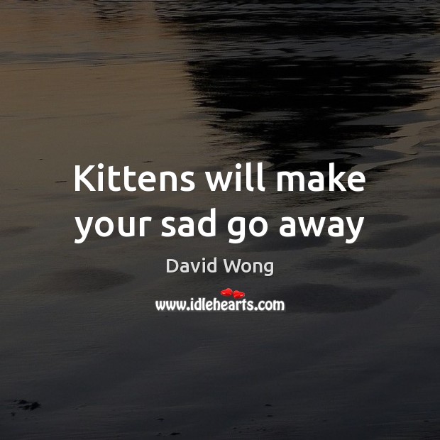 Kittens will make your sad go away David Wong Picture Quote