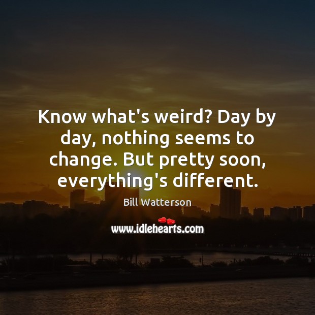 Know what’s weird? Day by day, nothing seems to change. But pretty Bill Watterson Picture Quote