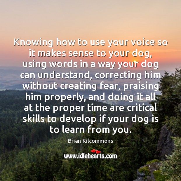 Knowing how to use your voice so it makes sense to your Image