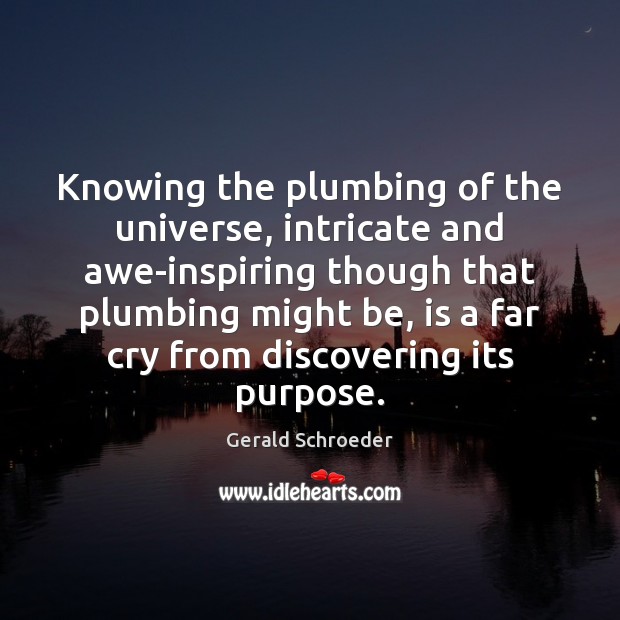 Knowing the plumbing of the universe, intricate and awe-inspiring though that plumbing Gerald Schroeder Picture Quote