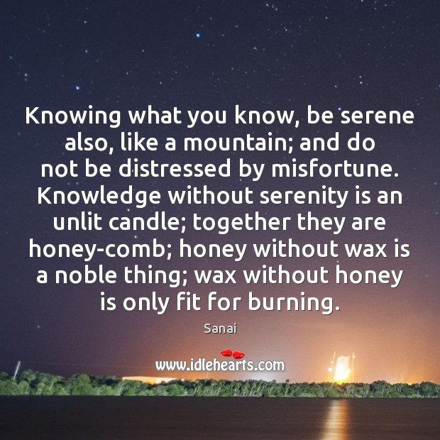 Knowing what you know, be serene also, like a mountain; and do Image