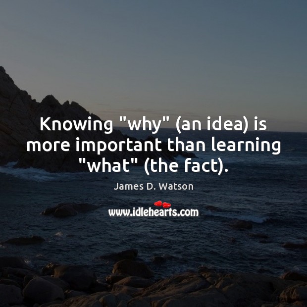 Knowing “why” (an idea) is more important than learning “what” (the fact). James D. Watson Picture Quote
