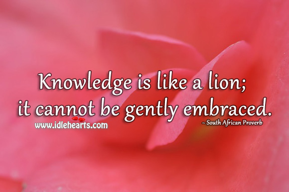 Knowledge is like a lion; it cannot be gently embraced. South African Proverbs Image