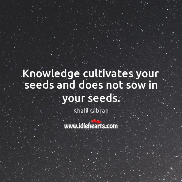 Knowledge cultivates your seeds and does not sow in your seeds. Khalil Gibran Picture Quote