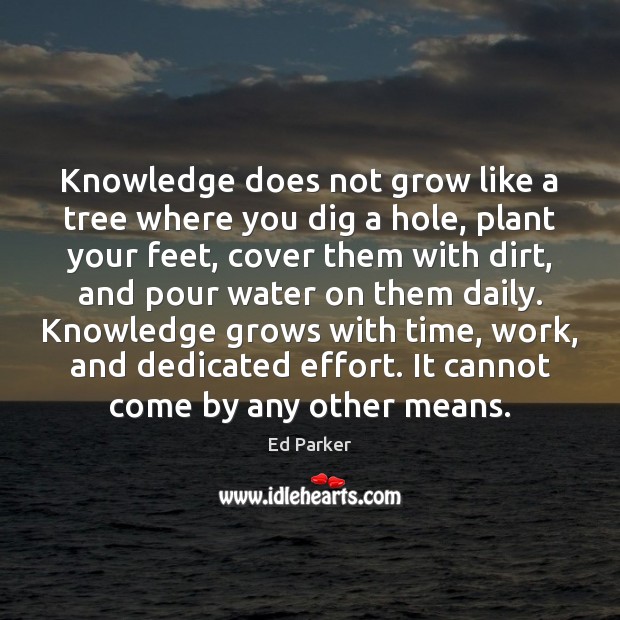 Knowledge does not grow like a tree where you dig a hole, Image