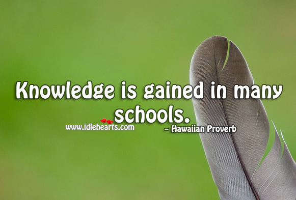 Knowledge is gained in many schools. Hawaiian Proverbs Image
