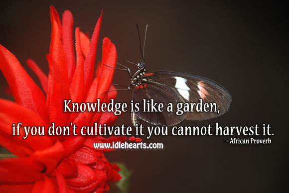Knowledge is like a garden, if you don’t cultivate it you cannot harvest it. Image