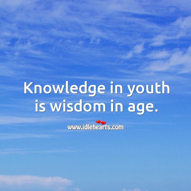 Knowledge in youth is wisdom in age. Image