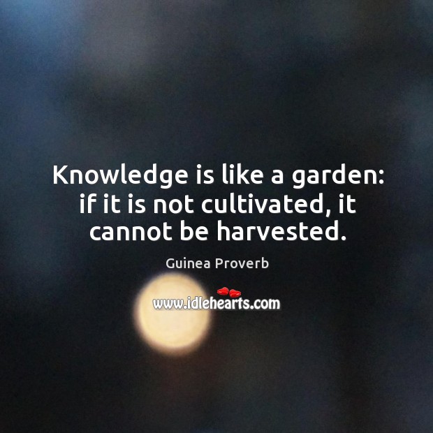 Knowledge is like a garden: if it is not cultivated, it cannot be harvested. Image