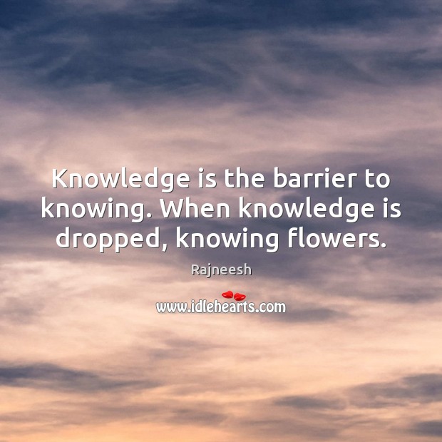 Knowledge is the barrier to knowing. When knowledge is dropped, knowing flowers. Knowledge Quotes Image