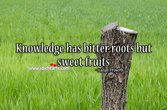 Knowledge has bitter roots but sweet fruits. Italian Proverbs Image