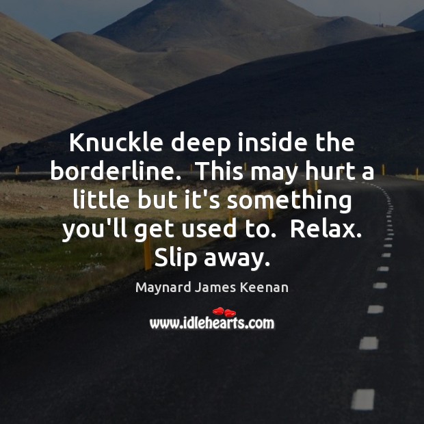 Knuckle deep inside the borderline.  This may hurt a little but it’s Maynard James Keenan Picture Quote