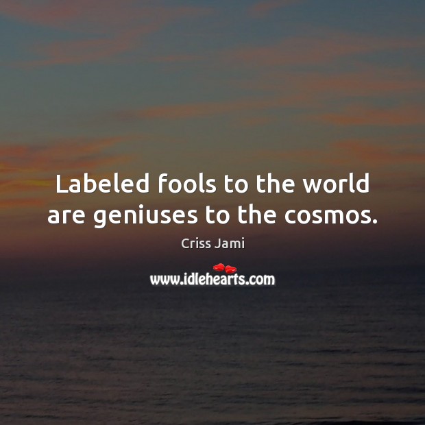 Labeled fools to the world are geniuses to the cosmos. Criss Jami Picture Quote