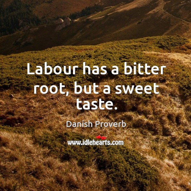 Labour has a bitter root, but a sweet taste. Danish Proverbs Image