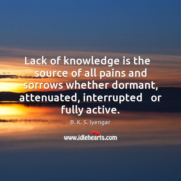 Lack of knowledge is the   source of all pains and sorrows whether B. K. S. Iyengar Picture Quote