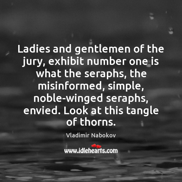 Ladies and gentlemen of the jury, exhibit number one is what the Vladimir Nabokov Picture Quote