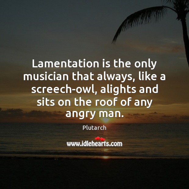 Lamentation is the only musician that always, like a screech-owl, alights and Plutarch Picture Quote