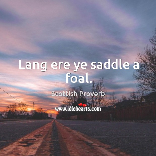 Lang ere ye saddle a foal. Scottish Proverbs Image