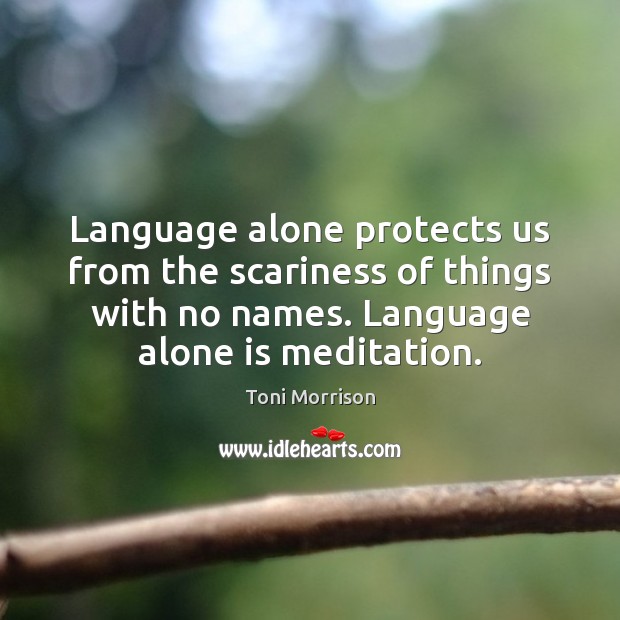 Language alone protects us from the scariness of things with no names. Toni Morrison Picture Quote