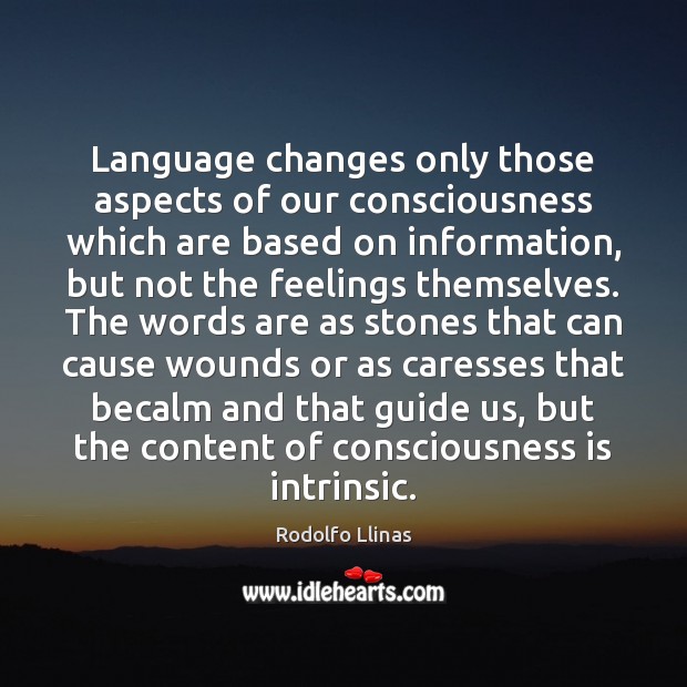 Language changes only those aspects of our consciousness which are based on Rodolfo Llinas Picture Quote