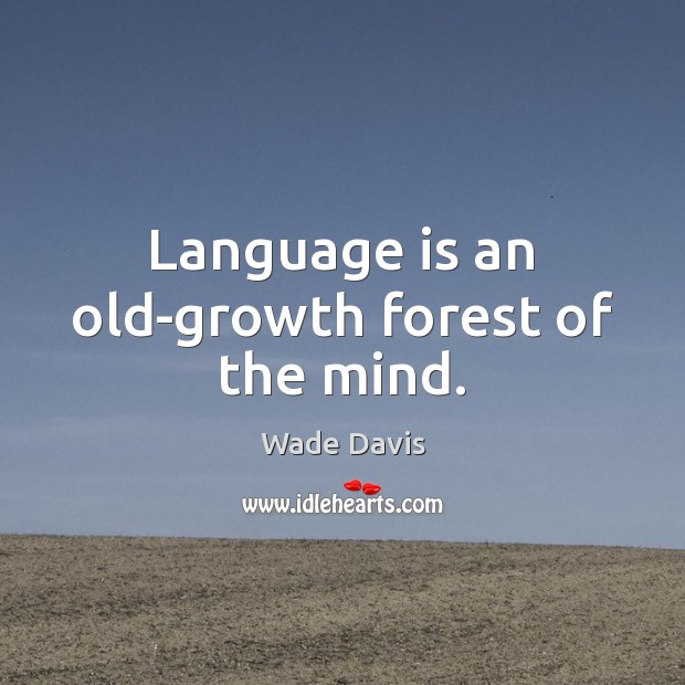 Language is an old-growth forest of the mind. Wade Davis Picture Quote