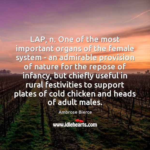 LAP, n. One of the most important organs of the female system Image