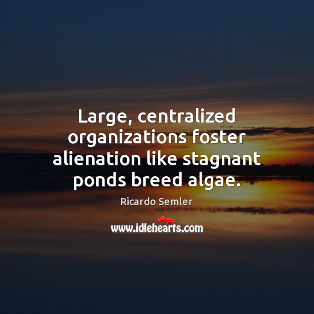 Large, centralized organizations foster alienation like stagnant ponds breed algae. Ricardo Semler Picture Quote