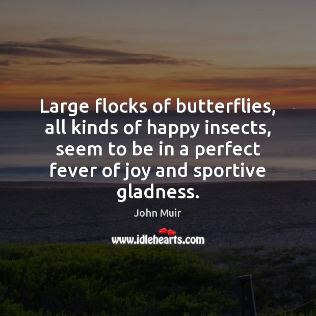 Large flocks of butterflies, all kinds of happy insects, seem to be John Muir Picture Quote