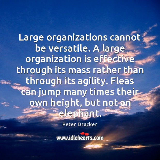 Large organizations cannot be versatile. A large organization is effective through its Peter Drucker Picture Quote
