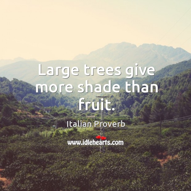 Large trees give more shade than fruit. Italian Proverbs Image