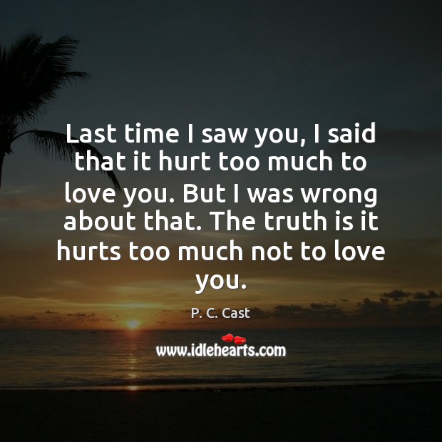 Last time I saw you, I said that it hurt too much P. C. Cast Picture Quote