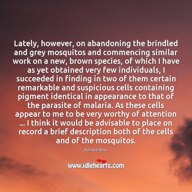 Lately, however, on abandoning the brindled and grey mosquitos and commencing similar Ronald Ross Picture Quote