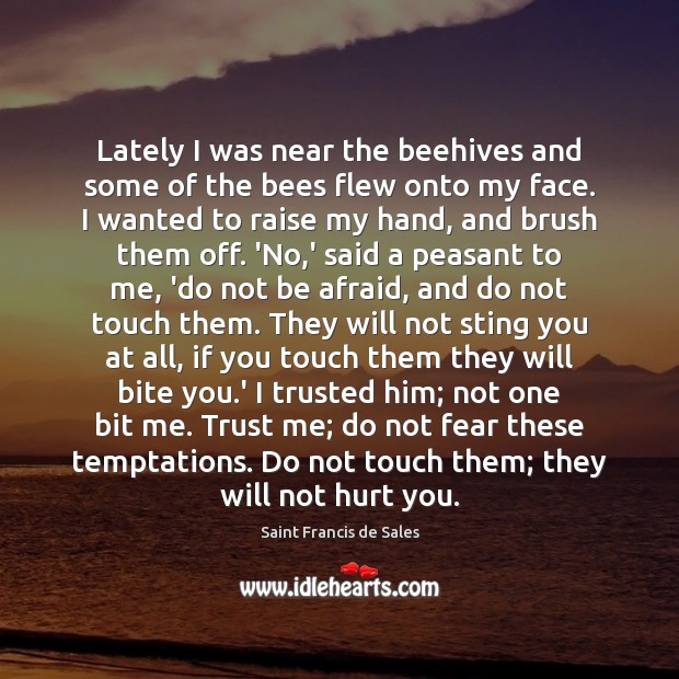 Lately I was near the beehives and some of the bees flew Saint Francis de Sales Picture Quote
