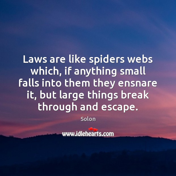 Laws are like spiders webs which, if anything small falls into them Solon Picture Quote