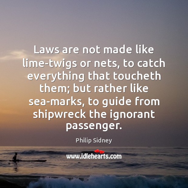 Laws are not made like lime-twigs or nets, to catch everything that Philip Sidney Picture Quote