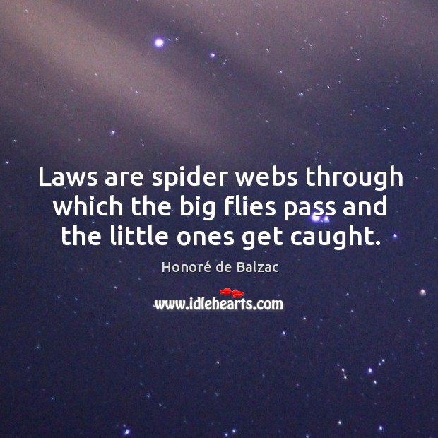 Laws are spider webs through which the big flies pass and the little ones get caught. Honoré de Balzac Picture Quote