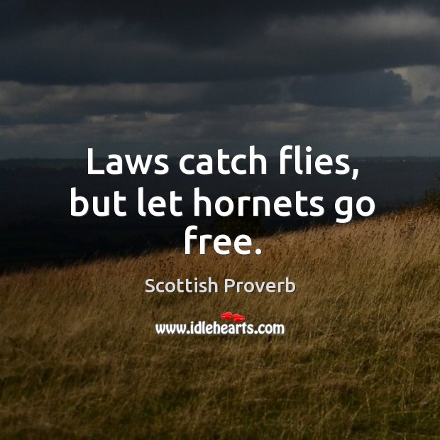Laws catch flies, but let hornets go free. Scottish Proverbs Image