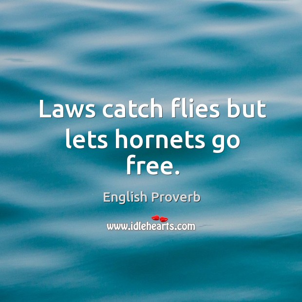 Laws catch flies but lets hornets go free. Image