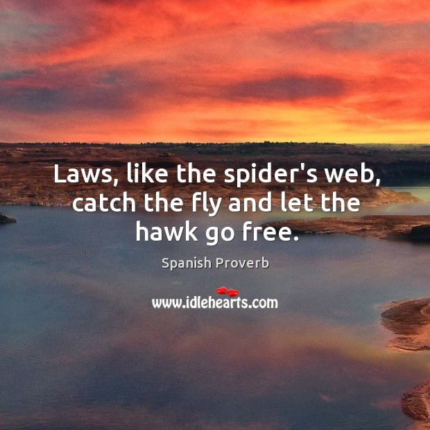 Laws, like the spider’s web, catch the fly and let the hawk go free. Spanish Proverbs Image