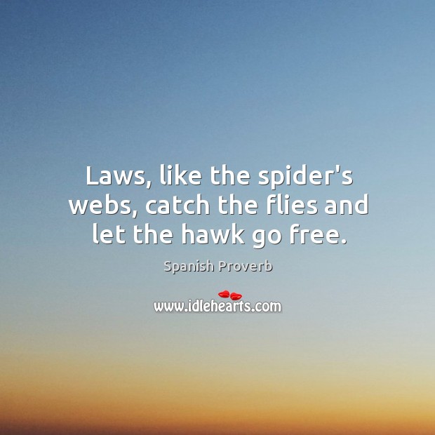 Laws, like the spider’s webs, catch the flies and let the hawk go free. Spanish Proverbs Image