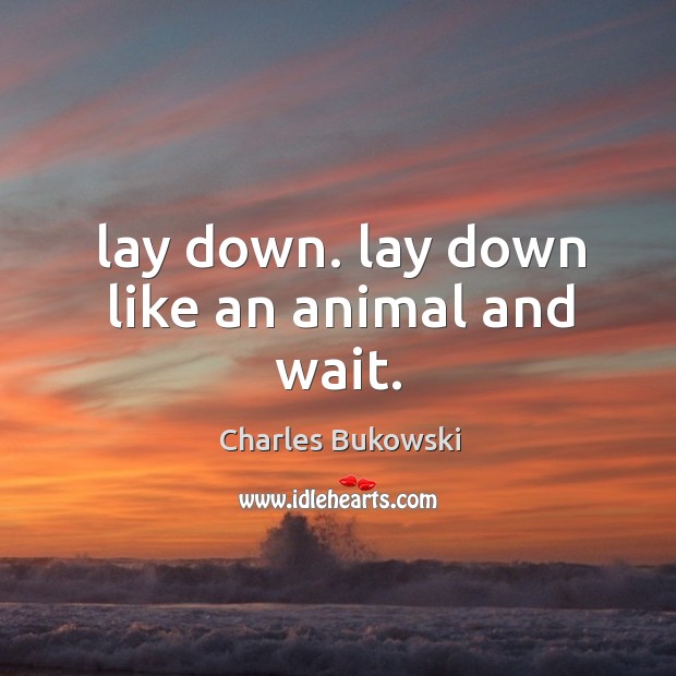 Lay down. lay down like an animal and wait. Charles Bukowski Picture Quote